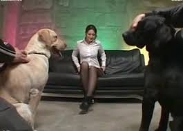 Animal sex farm jpg x Farm animal sex