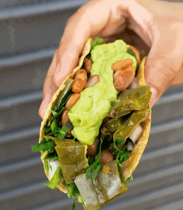 Thlaco Taco Tijuanense by null