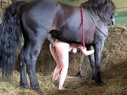 Porn with redhead teens fucking with horse png x Horse fuck