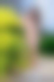 eyefakes.com fake nude|Chou Tzu yu nude, deepfake porn, imagefap part 1