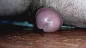 Slut sucks huge mushroom head jpg x Mushroom head