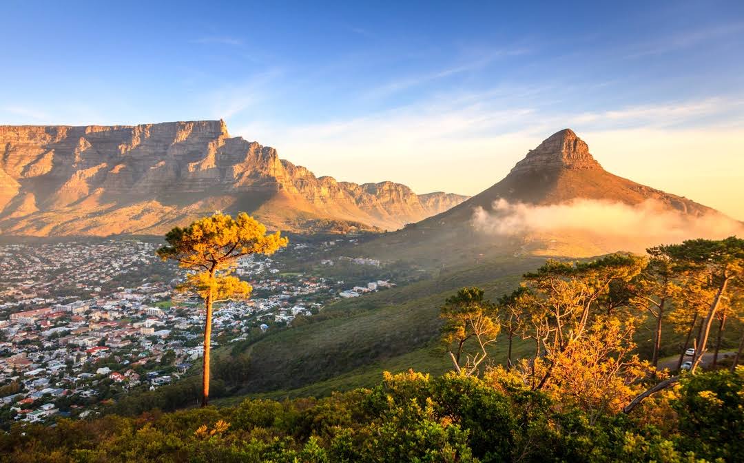Lion's Head by null