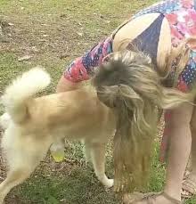 Whitney wisconsin fucks dog jpg x Whitney wisconsin fucks dog