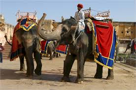 Cab Rental Delhi Agra Jaipur Tour From Delhi, same day jaipur Tour, jaipur tour from delhi, jaipur