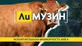 Мясные продукты: плюсы и минусы их потребления ile ilgili video
