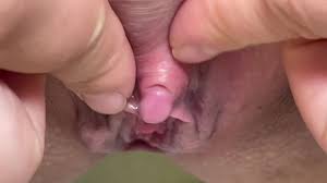Hood hairy pussy party porn video jpg x Hood pussy