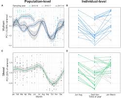 siberian mouse tanya nude|