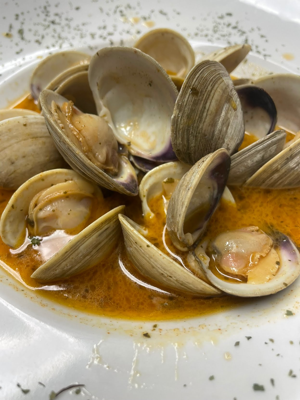 Jerry and The Mermaid by null