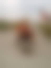 rajce.idnes.cz girls pissing|Rajce.net - czech girls peeing - Page 22 - Amateur Voyeur Forum