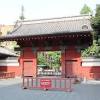 東京大学