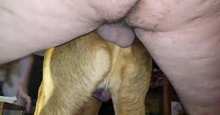 Man fucks male dog jpg x Man fucks male dog