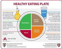 Is this food plate valid or not? Let your voice be heard! 
