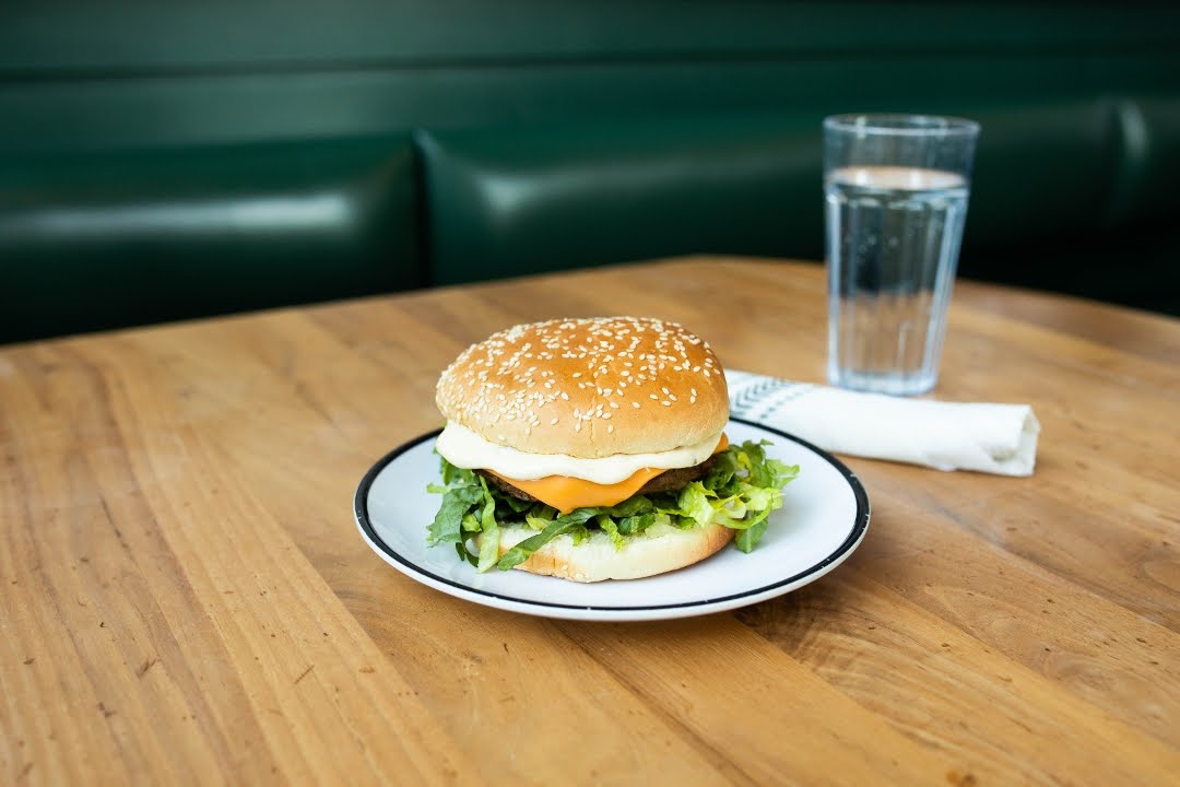 Shy Bird - Fenway by null