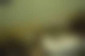 beastiality dog girl sex|Dog sex compilation with hot girls - LuxureTV