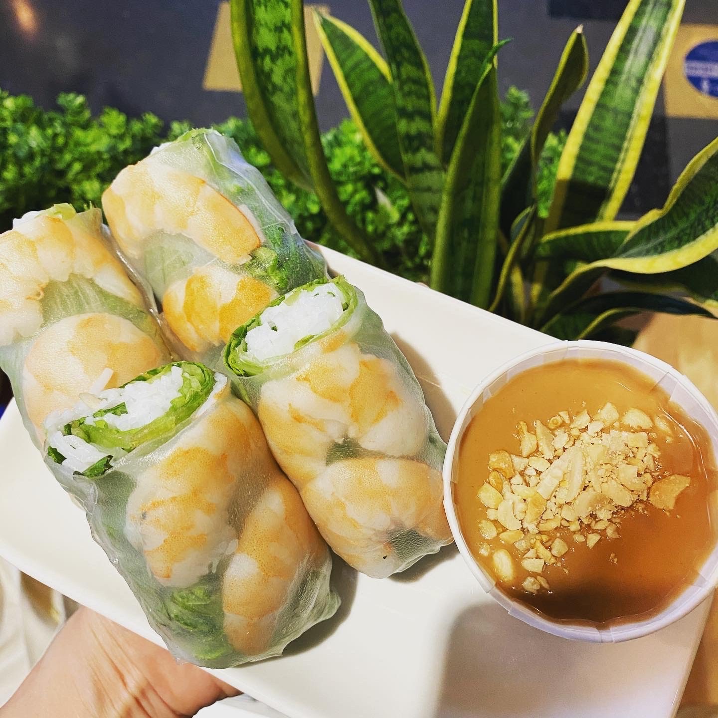 NO NAME PHO by null