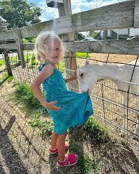 rajce.idnes curani|Od rána jezdí na novém odrážedle po bytě a zvoní, při  odstranění visačky u rukavic jsem zjistila, že je to šev😡 zašívám a z  modré nitě kluci upletli pavouči