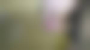 短小包茎　無修正|オナ禁後に粗末な短小包茎を弄りつつ、容器の中に大量射精する変態君。 - Pornhub Gay