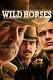 Image result for u202bدانلود دوبله فارسي فيلم اسب هاي وحشي Wild Horses 2015u202c