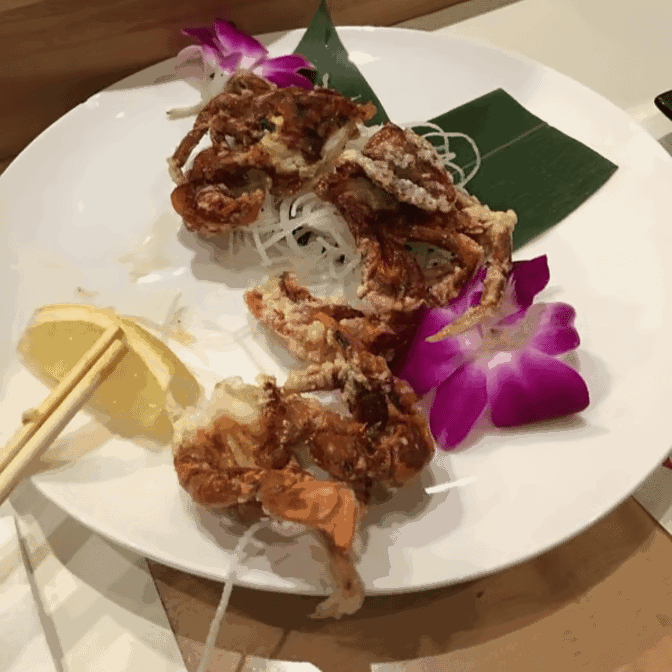 Dojo Sushi by null