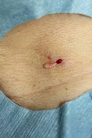 pimpandhost reallola 2 изображения|Шоу-проект ” Little Angel Super model ” . Випуск 3 - YouTube