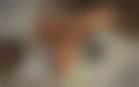 badonion hentai 3d 16|BadOnion Issue 4 - 8muses Comics - Sex Comics and Porn Cartoons