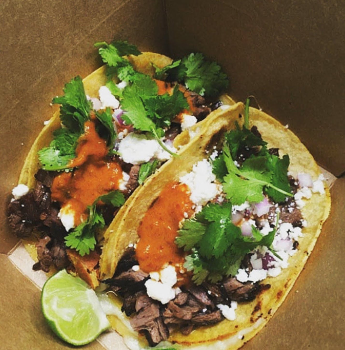 Baby Loves Tacos by null