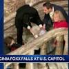 News source: WXII The Triad