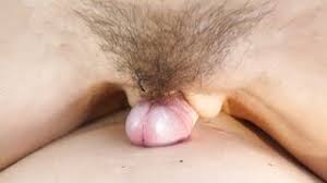Real sex from the life of amateur models real female orgasm and facial free porn videos youporn jpg x Amateur female orgasm