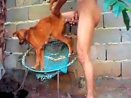My big penis is always entering the dog pussy zoo porn jpg x Guy fucks dog pussy