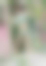 芝崎かんな 無修正 流出|元アスリートのAV女優 エロくて抜けるランキングTOP25【最新】 | VRジャンキー