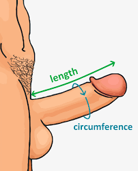Slutty girl needs lots of cocks in her holes at the same time jpg x Lots of cocks