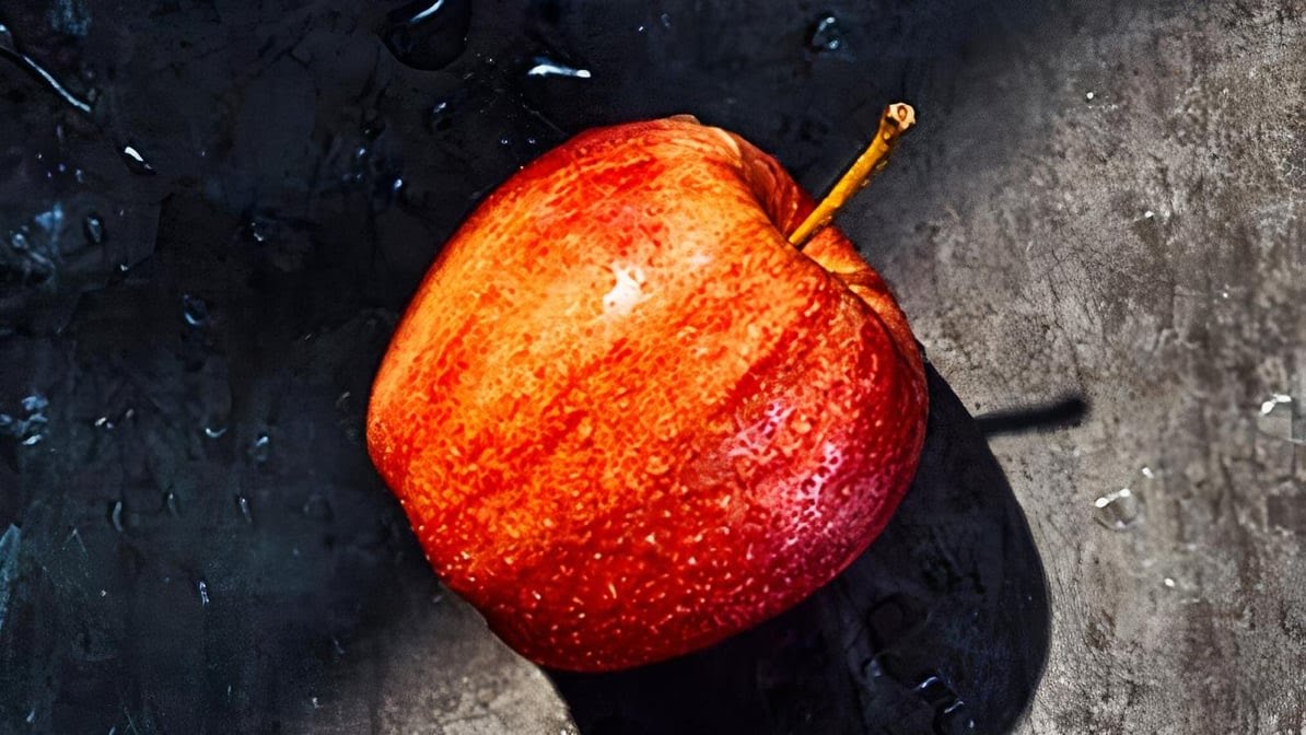 St. Louis Bread Co. by null