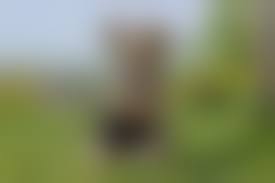 mother daughter nude 18 rajce.cz|days of rain, eye doctor anger, and, at last, some sunshine | The Never  Normal