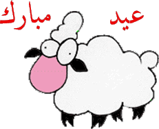 الشروق