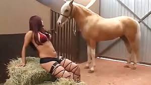 Horse fuck me active horse porn jpg x Girl gets fucked by horse