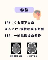 MRI まんこ|医者が解説】性行為をMRI撮影したらとんでもない結果が！？ - YouTube