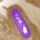 Frozen burritos recalled over listeria fears 