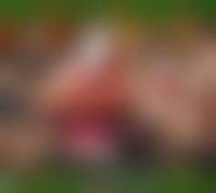 art of zoo porn pics|Search: art of zoo - Slushe