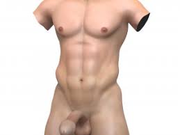fantasy cock jpg x 3d fantasy cock