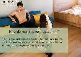 Cleanbrowsing howtoblockporn illustration png x How to