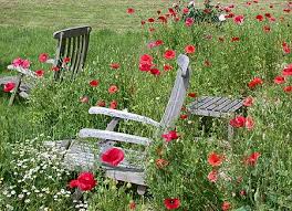 در این دنیا جای تو اینجاست