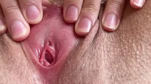 Give me pink bambi isn spreading her sweet pink pussy jpg x Sweet pink pussy