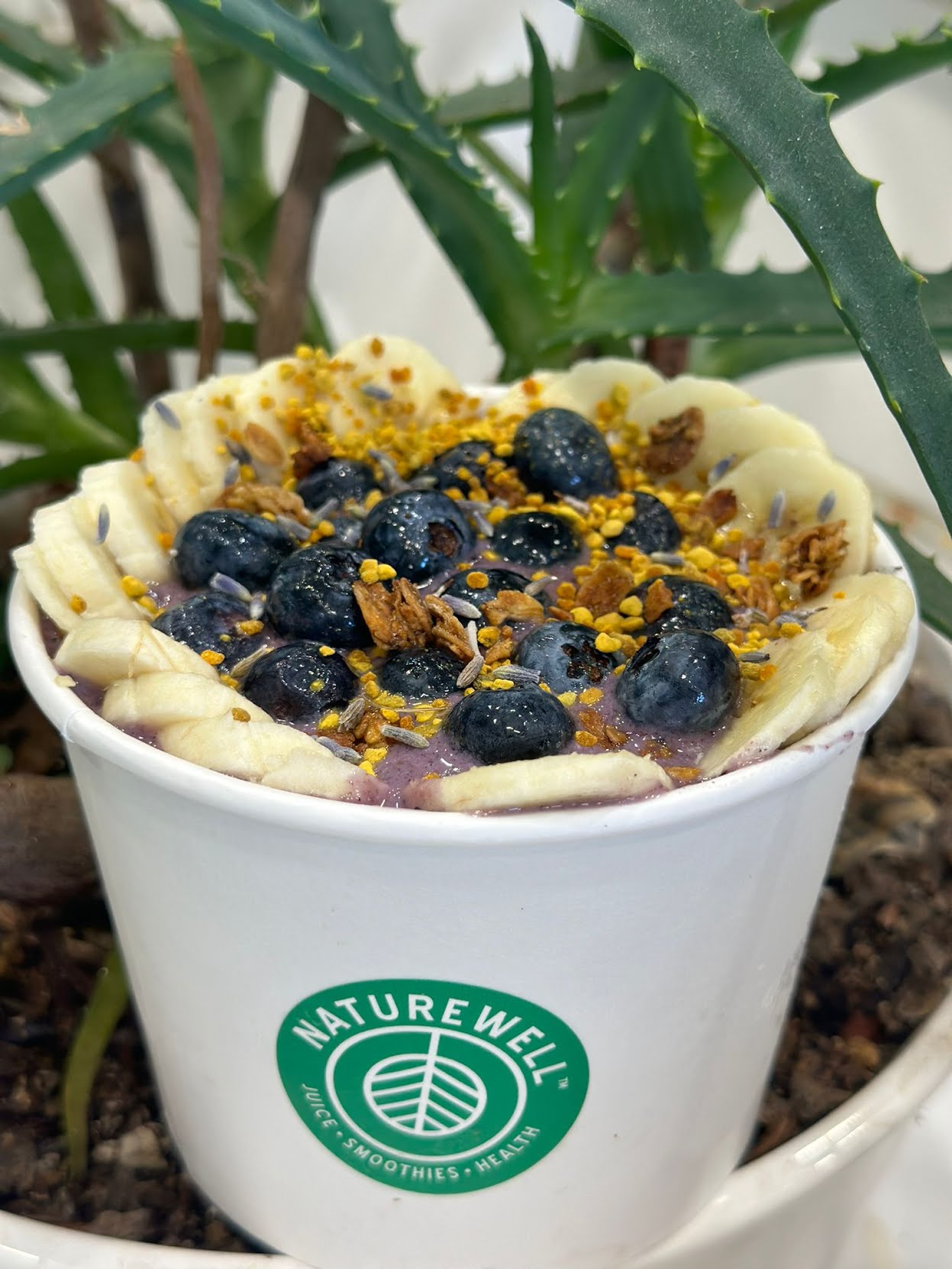 Naturewell Vegan Juice & Smoothies by null