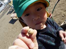 こども　ワレメ|ヤングコーンの樹？ – 安田幼稚園安東園舎