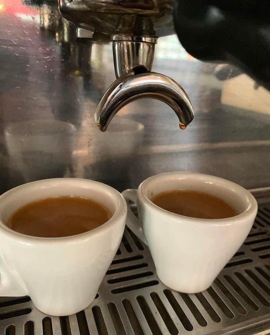 French Roast by null