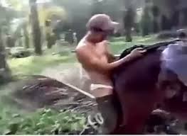 Gay man on all fours being mauled horse jpg x Guy gets fucked by horse