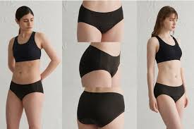 ナプキン 盗撮 |2日目の夜でも快適！ 夜用布ナプキンショーツ「KAANE（カーネ）」がクラファンで支援受付中 - ECナビ