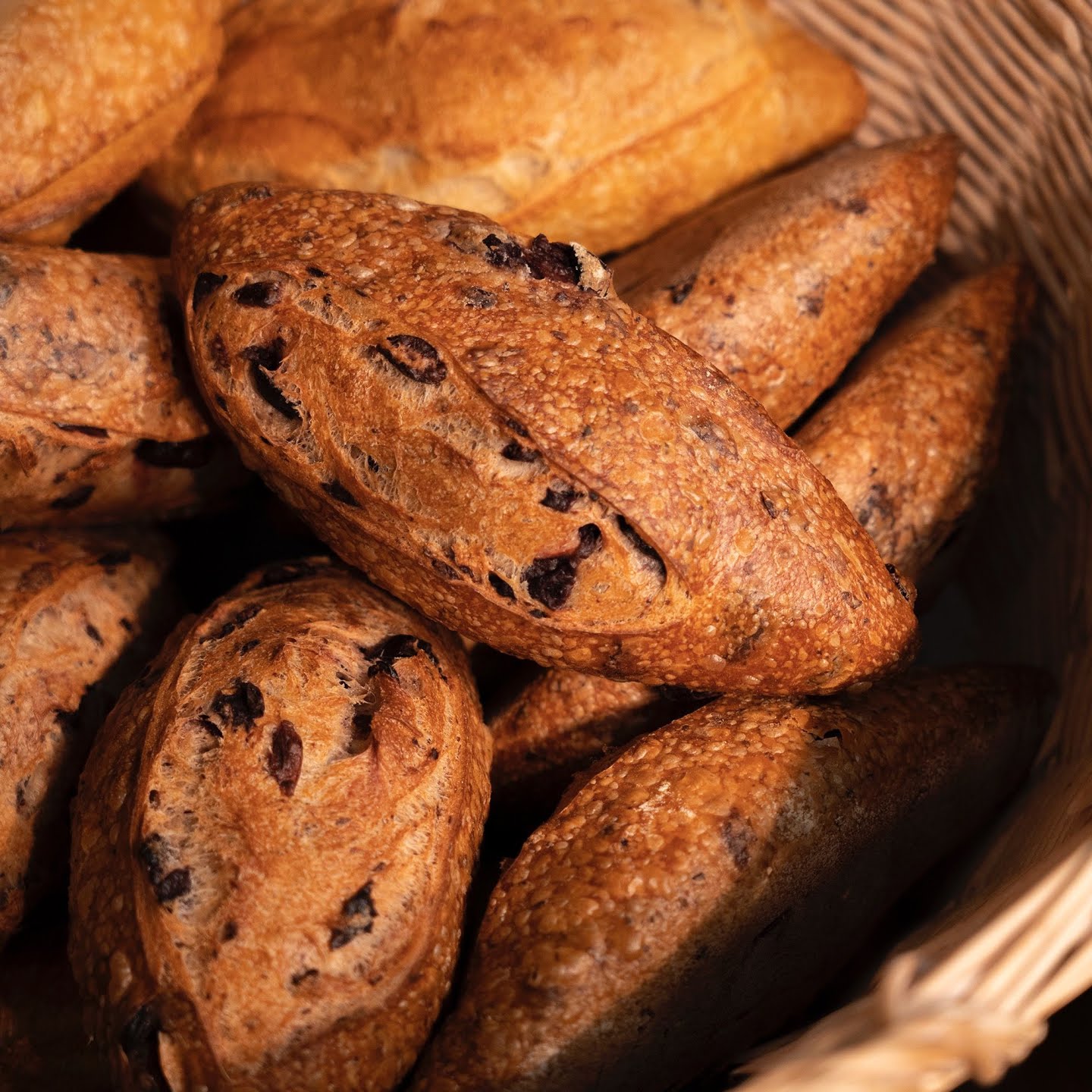 Baluard Barceloneta by null