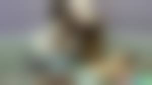 jw ties porn|Patrigno Va Bene - Pornhub.com