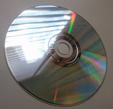 ジュニアアイドル　よつんばい|しほの涼 | TikTok